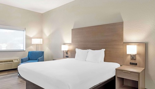 Standard Room, 1 King Bed, Non Smoking, Refrigerator & Microwave