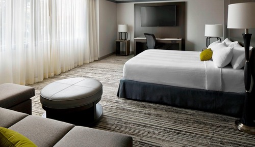 Room, 1 King Bed with Sofa bed