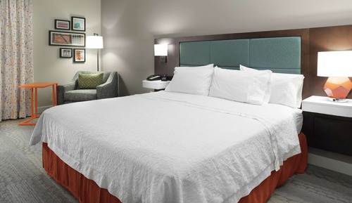 Room, 1 King Bed, Accessible, Bathtub