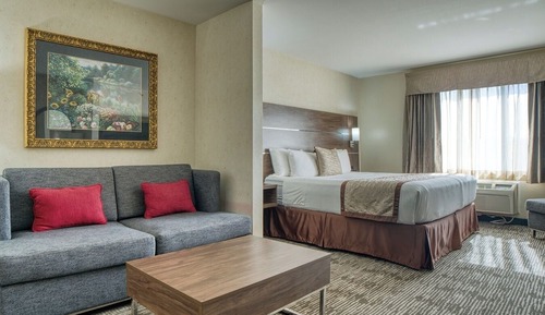 Executive Room, 1 King Bed with Sofa bed