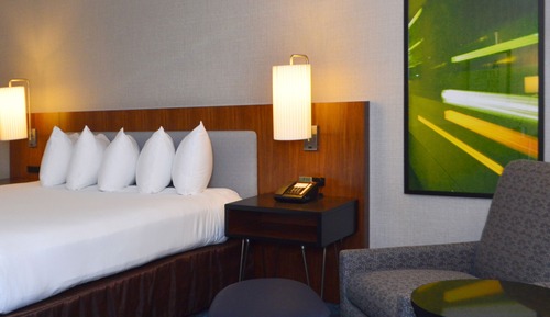 Room, 1 King Bed (Garden, Roll-in Shower)