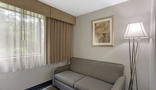 Standard Room, 1 King Bed with Sofa bed, Non Smoking, Refrigerator & Microwave (with Sofabed)