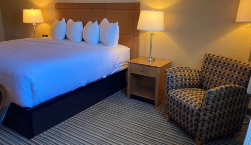 Standard Room, 1 King Bed, Non Smoking, Refrigerator & Microwave