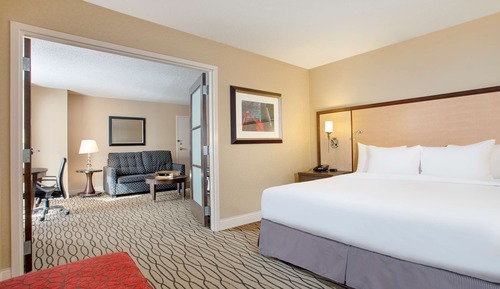 Room, 1 King Bed