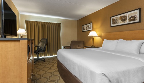 Deluxe Room, 1 King Bed, Non Smoking, Refrigerator
