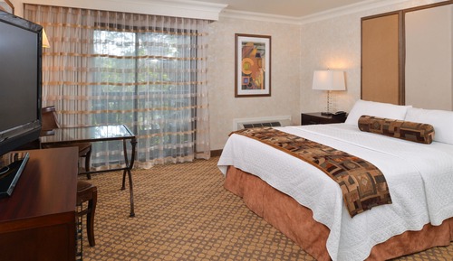 Standard Room, 1 King Bed, Accessible, Bathtub