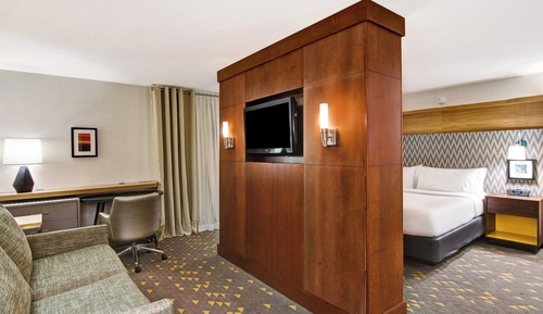 Suite, 1 King Bed with Sofa bed