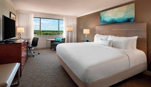 Room, 1 King Bed (Mobility/Hearing Access, Transf Shwr)