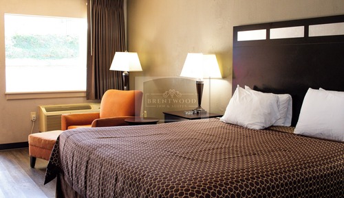 Single Room, 1 King Bed