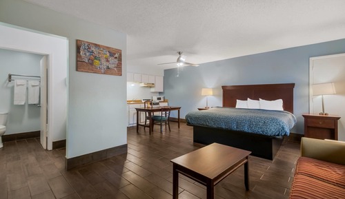 Suite, 1 King Bed with Sofa bed, Non Smoking (Efficiency)