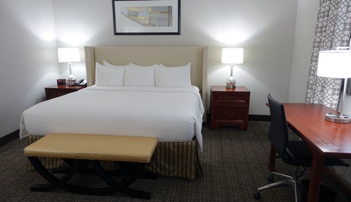 Room, 1 King Bed (State King)