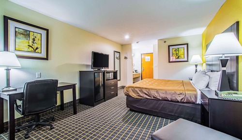 Standard Room, 1 King Bed, Non Smoking