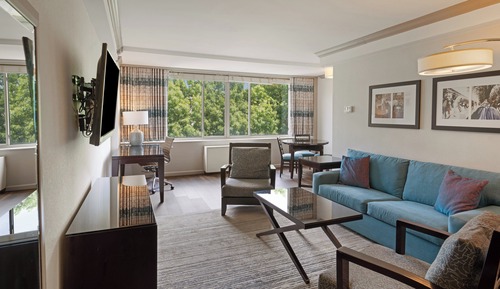 Suite, 1 Bedroom (King)