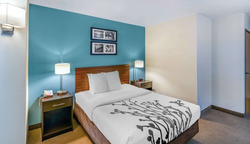 Standard Room, 1 Queen Bed, Accessible, Non Smoking