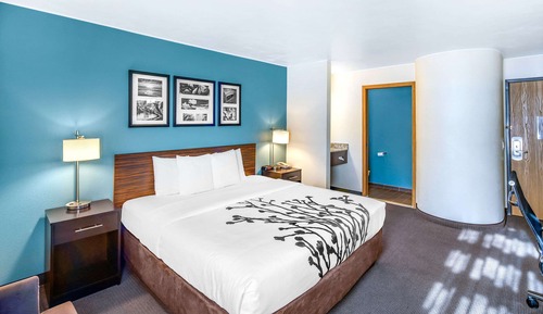 Standard Room, 1 King Bed, Non Smoking