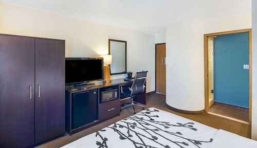 Standard Room, 1 Queen Bed, Non Smoking