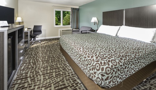 Room, 1 King Bed (with Couch)