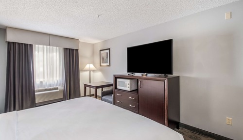 Room, 1 King Bed, Accessible