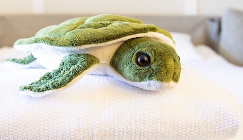 Clubhouse River View King