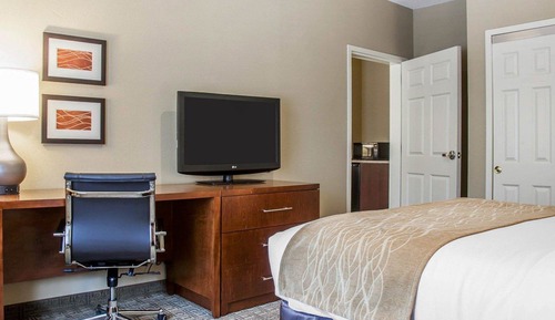 Business Studio Suite, 1 King Bed with Sofa Bed