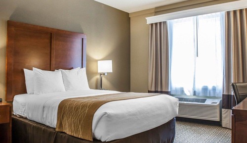1 Queen Bed, Accessible