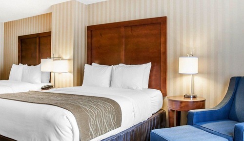 Standard 2 Queen Beds