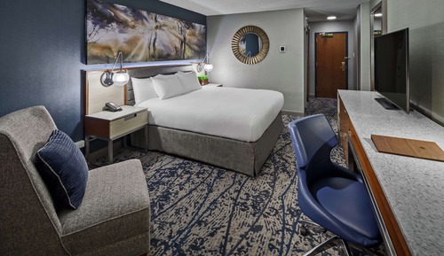 Room, 1 King Bed