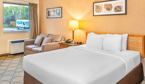 Standard 1 Queen bed w/sofabed Non-Smoking Ground floor