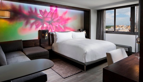 Design Room, 1 King Bed (Mobility Accessible, Tub)