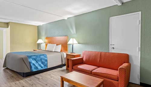 Standard Room, 1 King Bed, Non Smoking