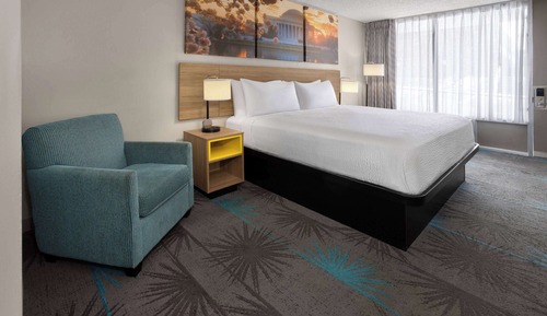 Room, 1 King Bed, Accessible, Non Smoking