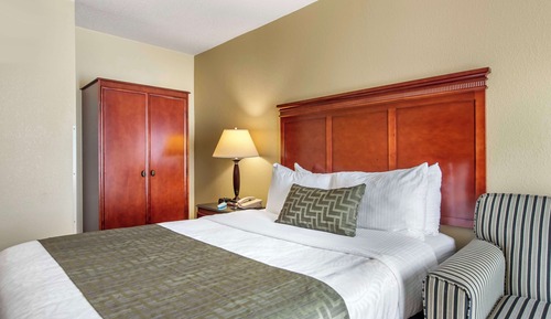 Standard Room, 1 Queen Bed, Accessible, Refrigerator & Microwave