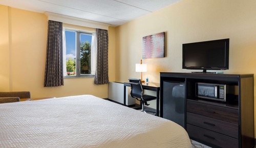 Standard Room, 1 King Bed, Non Smoking