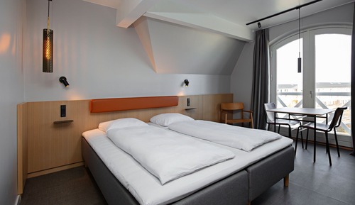 Standard Double Room, 1 King Bed