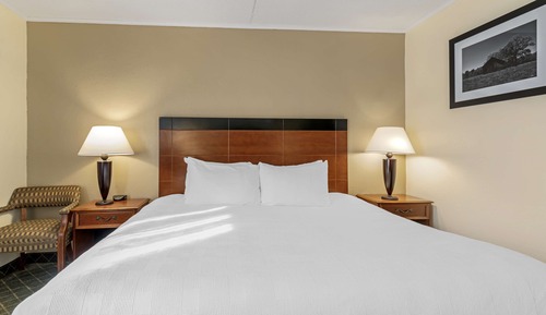 Standard Room, 1 King Bed, Non Smoking, Refrigerator & Microwave