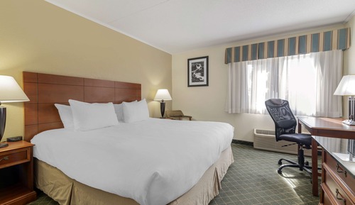 Standard Room, 1 King Bed, Accessible, Non Smoking (Walk-in Shower)