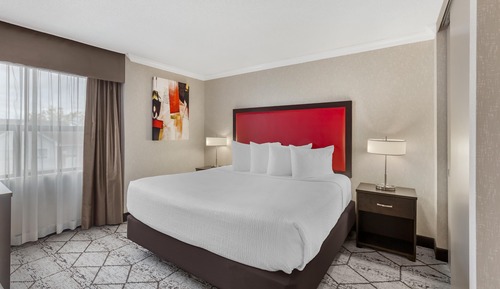 Suite, 1 King Bed, Non Smoking, Kitchenette (with Sofabed)