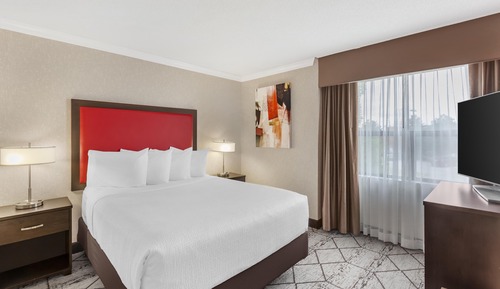 Suite, 1 Queen Bed, Non Smoking, Microwave (with Sofabed)