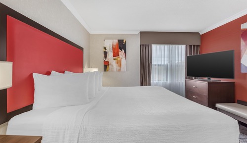 Suite, 1 King Bed, Non Smoking, Microwave (with Sofabed)