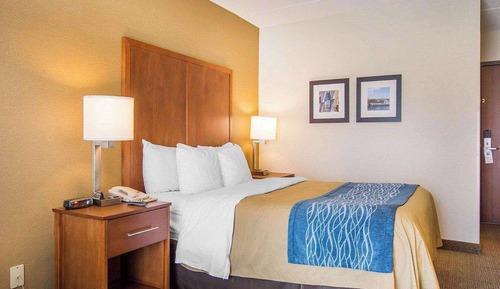 Standard Room, 1 Queen Bed, Non Smoking, Ground Floor
