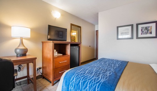 Standard Room, 1 Queen Bed with Sofa bed, Non Smoking