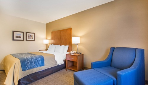 Standard Room, 1 Queen Bed, Non Smoking