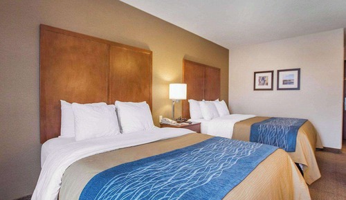 Standard Room, 2 Double Beds, Non Smoking