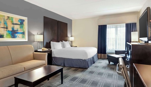 Suite, 1 King Bed, Non Smoking, Refrigerator & Microwave (with Sofabed)