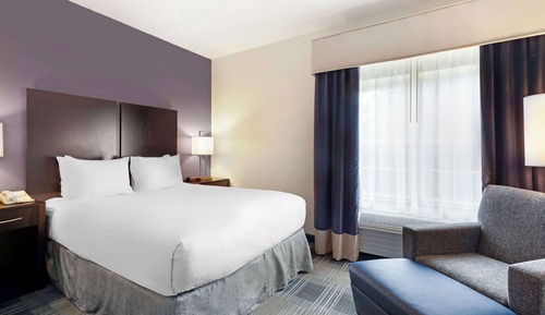 Standard Studio, 1 King Bed, Non Smoking, Refrigerator & Microwave (with Sofabed)