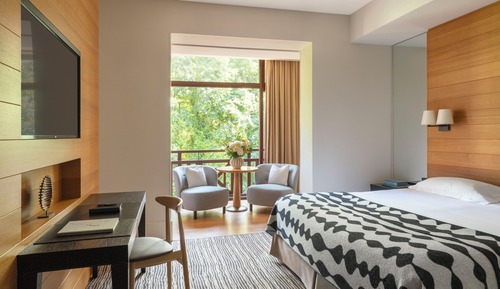 Deluxe Room (South-facing)