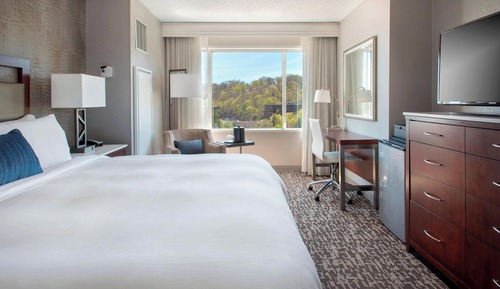 Room, 1 King Bed (Mobility Accessible, Tub)