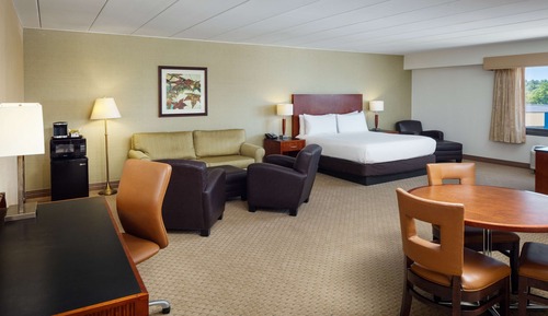 Deluxe Room, 1 King Bed, Accessible, Non Smoking (Executive, Roll-in Shower)