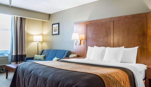 Standard Room, 1 King Bed, Non Smoking