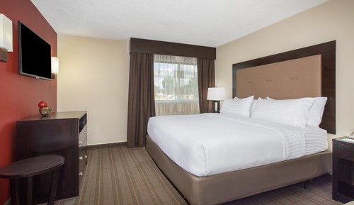 Suite, 1 King Bed, Accessible (Hearing, Roll-In Shower)